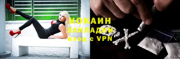 дживик Абаза