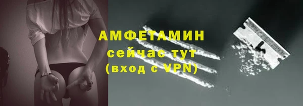 дживик Абаза