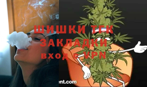 дживик Абаза